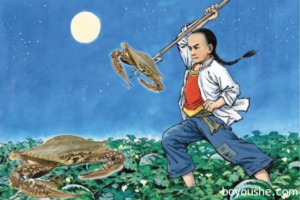 在阿联酋抓螃蟹会吃牢饭,在沙特抓螃蟹是维系物种平衡…实探沙特华人是怎么抓螃蟹的!