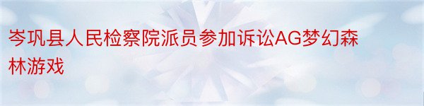 岑巩县人民检察院派员参加诉讼AG梦幻森林游戏