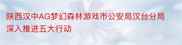 陕西汉中AG梦幻森林游戏市公安局汉台分局深入推进五大行动
