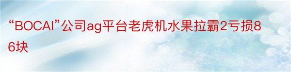 “BOCAI”公司ag平台老虎机水果拉霸2亏损86块